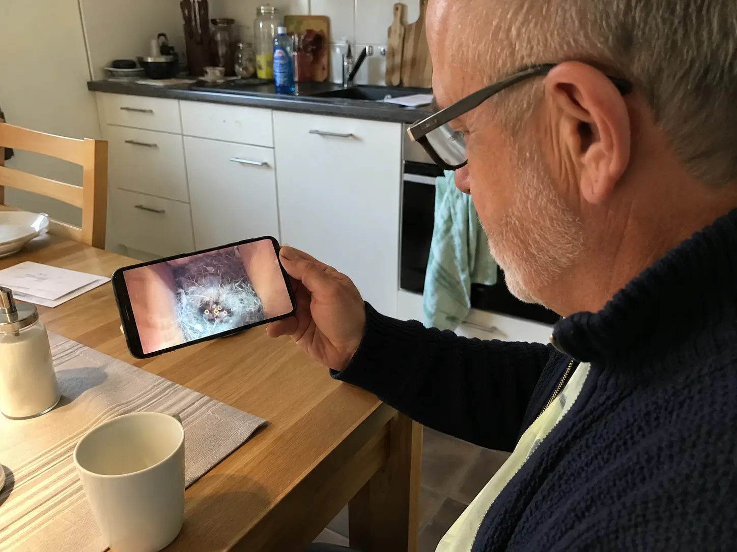 Nistkasten-Kamera: die KUUS C2 WLAN Mini-Kamera für den eigenen Nistkasten